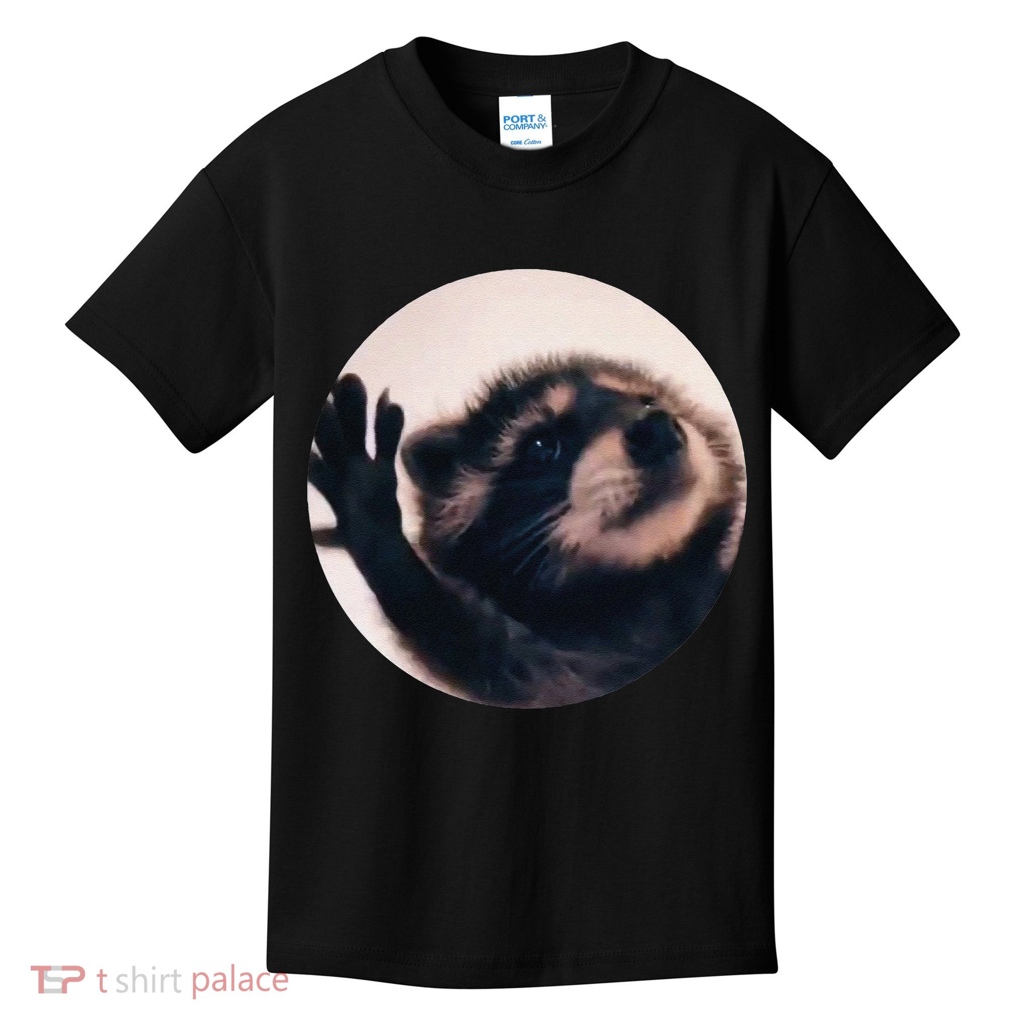 Pedro Pedro Racoon Dance Popular Internet Meme Racoon Day Kids T-Shirt