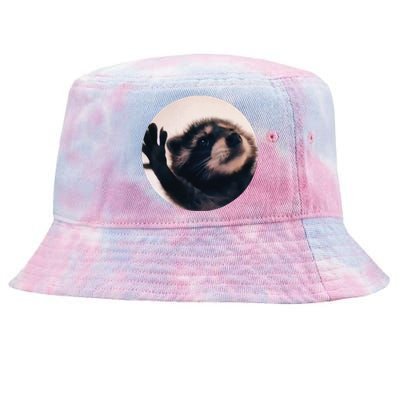 Pedro Pedro Racoon Dance Popular Internet Meme Racoon Day Tie-Dyed Bucket Hat