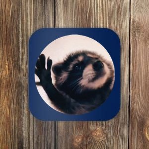 Pedro Pedro Racoon Dance Popular Internet Meme Racoon Day Coaster