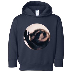 Pedro Pedro Racoon Dance Popular Internet Meme Racoon Day Toddler Hoodie