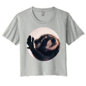 Pedro Pedro Racoon Dance Popular Internet Meme Racoon Day Women's Crop Top Tee