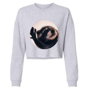 Pedro Pedro Racoon Dance Popular Internet Meme Racoon Day Cropped Pullover Crew