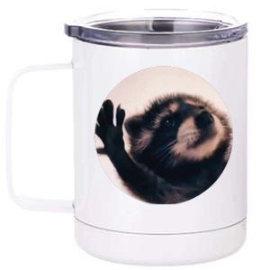 Pedro Pedro Racoon Dance Popular Internet Meme Racoon Day 12 oz Stainless Steel Tumbler Cup