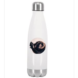 Pedro Pedro Racoon Dance Popular Internet Meme Racoon Day Stainless Steel Insulated Water Bottle