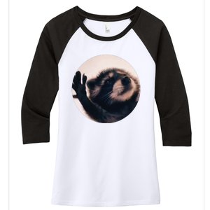 Pedro Pedro Racoon Dance Popular Internet Meme Racoon Day Women's Tri-Blend 3/4-Sleeve Raglan Shirt