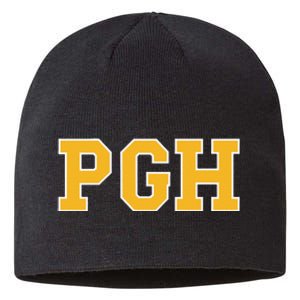 Pittsburgh Pennsylvania Retro Pgh Hometown Pride Sustainable Beanie