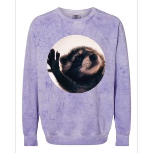 Pedro Pedro Racoon Dance Popular Internet Meme Racoon Day Colorblast Crewneck Sweatshirt