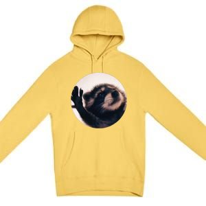 Pedro Pedro Racoon Dance Popular Internet Meme Racoon Day Premium Pullover Hoodie