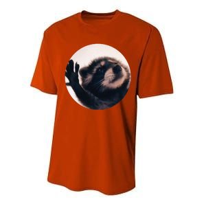 Pedro Pedro Racoon Dance Popular Internet Meme Racoon Day Performance Sprint T-Shirt