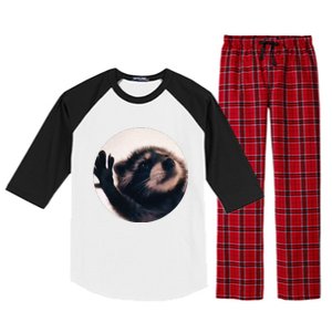 Pedro Pedro Racoon Dance Popular Internet Meme Racoon Day Raglan Sleeve Pajama Set