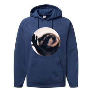 Pedro Pedro Racoon Dance Popular Internet Meme Racoon Day Performance Fleece Hoodie