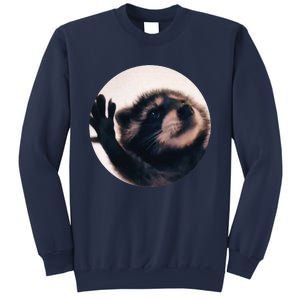 Pedro Pedro Racoon Dance Popular Internet Meme Racoon Day Sweatshirt