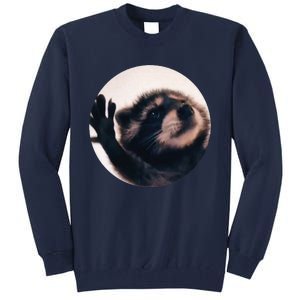 Pedro Pedro Racoon Dance Popular Internet Meme Racoon Day Tall Sweatshirt