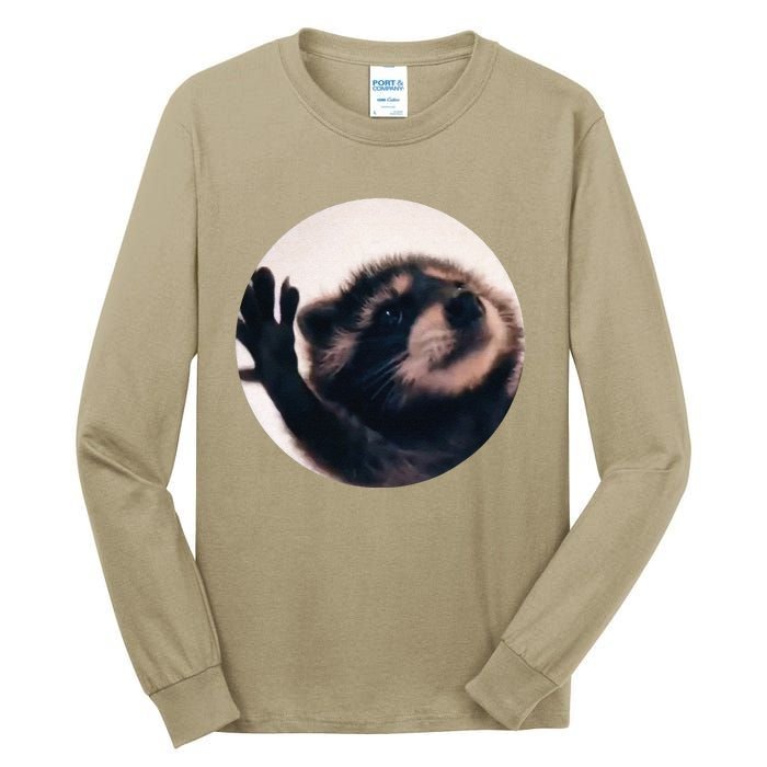 Pedro Pedro Racoon Dance Popular Internet Meme Racoon Day Tall Long Sleeve T-Shirt