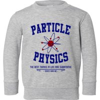 Particle Physics Science Pun Funny Physics Toddler Sweatshirt