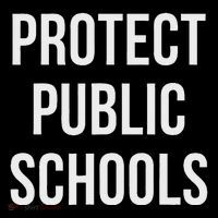 Protect Public Schools Button