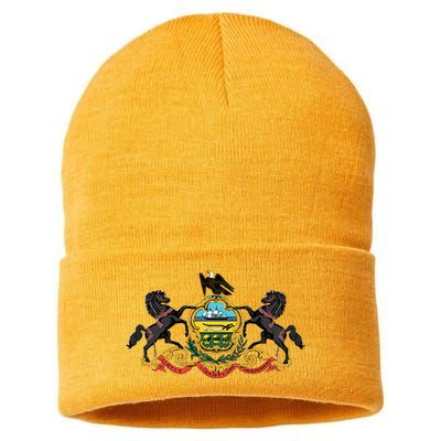 Pennsylvania Pa State Flag Usa Sustainable Knit Beanie