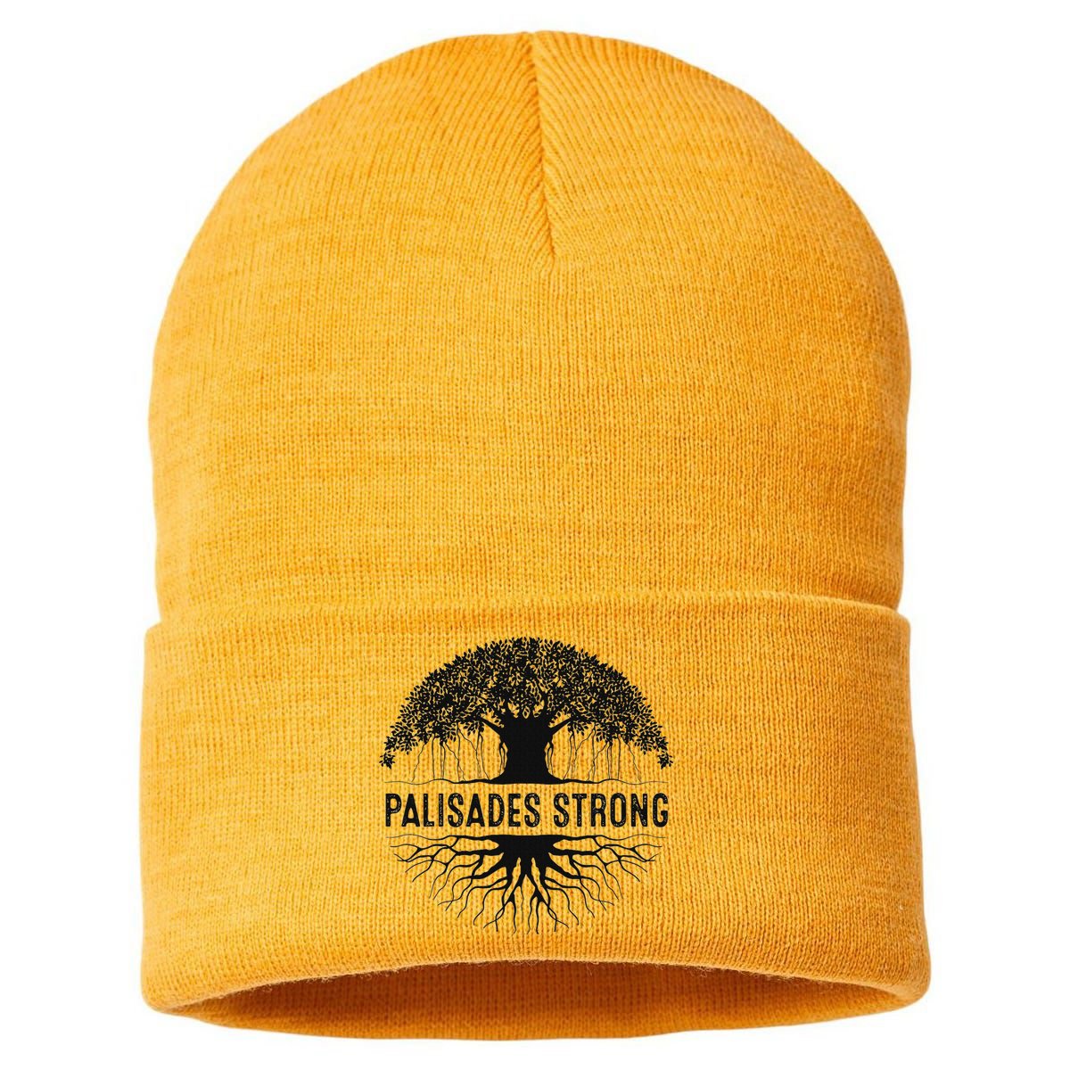 Pacific Palisades Strong California Sustainable Knit Beanie