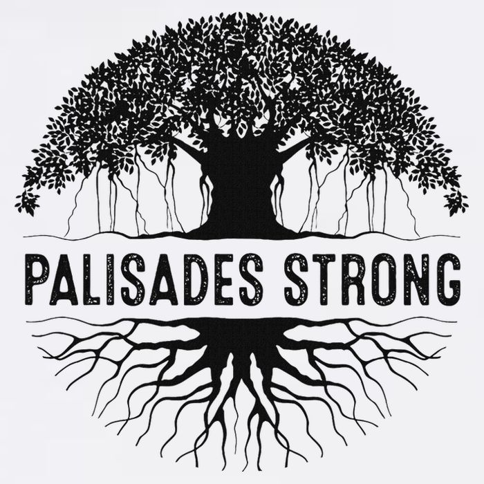 Pacific Palisades Strong California Cooling Performance Crew T-Shirt