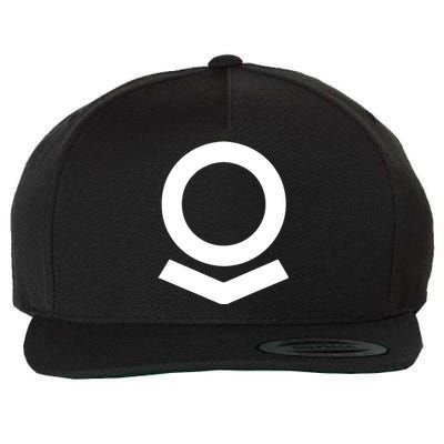 Palantir Pltr Spx Wool Snapback Cap