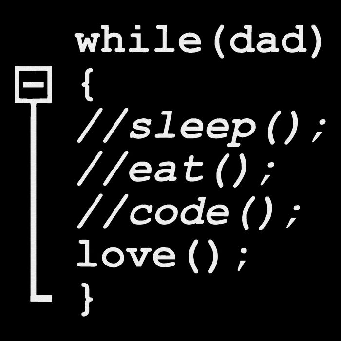 Programmer Papa Sleep, Eat, Code Funny Father's Day Cropped Pullover Crew
