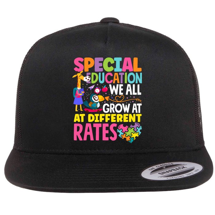 Paraeducator Paraprofessional SPED Teacher Special Education Flat Bill Trucker Hat