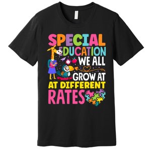 Paraeducator Paraprofessional SPED Teacher Special Education Premium T-Shirt