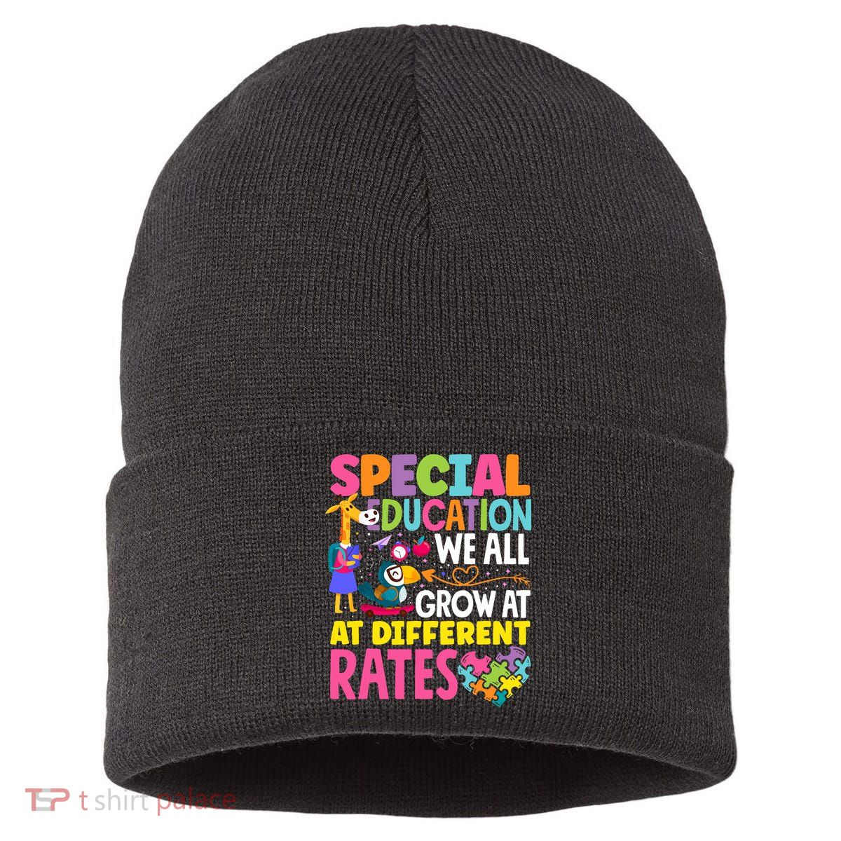 Paraeducator Paraprofessional SPED Teacher Special Education Sustainable Knit Beanie