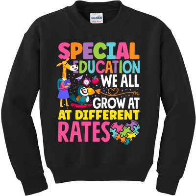 Paraeducator Paraprofessional SPED Teacher Special Education Kids Sweatshirt