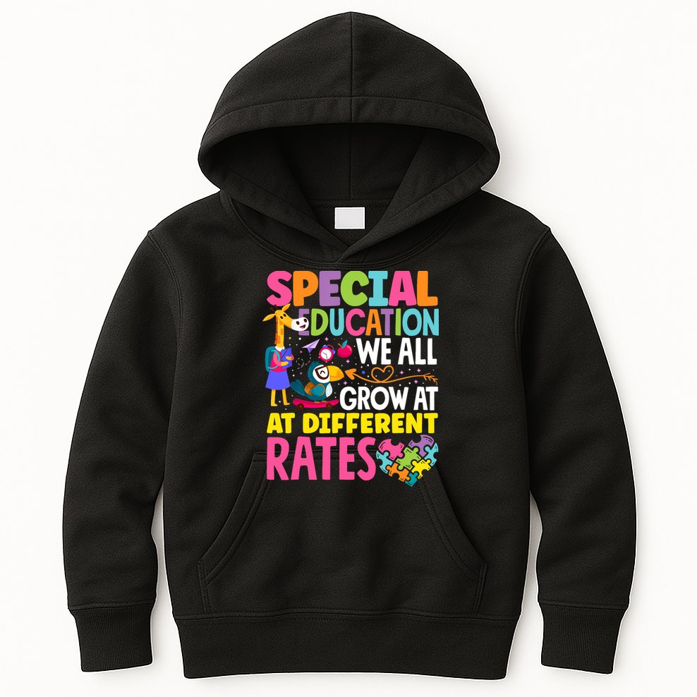 Paraeducator Paraprofessional SPED Teacher Special Education Kids Hoodie