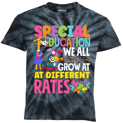 Paraeducator Paraprofessional SPED Teacher Special Education Kids Tie-Dye T-Shirt