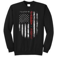 Patriotic Promoted To Daddy Est 2025 First Time Dad Sweatshirt