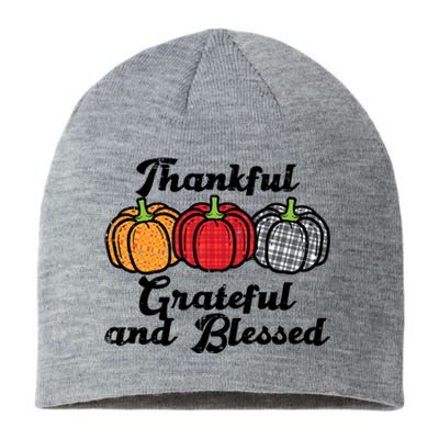 Plaid Pumpkins Thankful Grateful And Blessed Thanksgiving Gift Sustainable Beanie