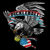 Pickleball Player Usa American Flag Eagle Vintage Graphic Poster