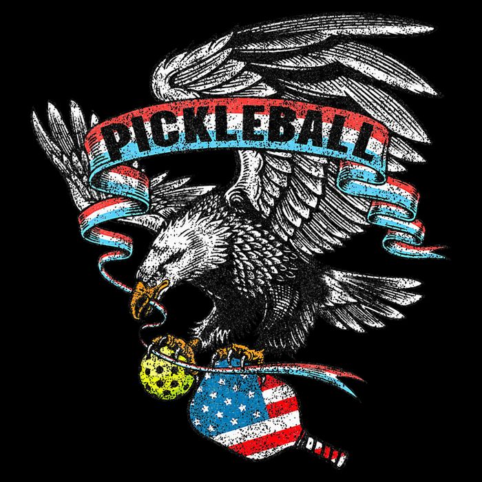 Pickleball Player Usa American Flag Eagle Vintage Graphic Poster