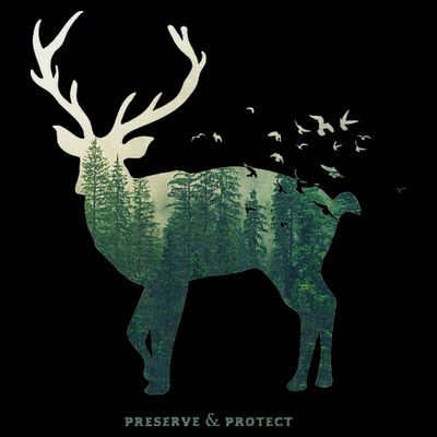 Preserve & Protect Vintage National Park Deer Forest T-Shirt