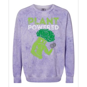 Plant Powered Vegan Broccoli Veggie Herbivore Fitness Gym Cute Gift Colorblast Crewneck Sweatshirt