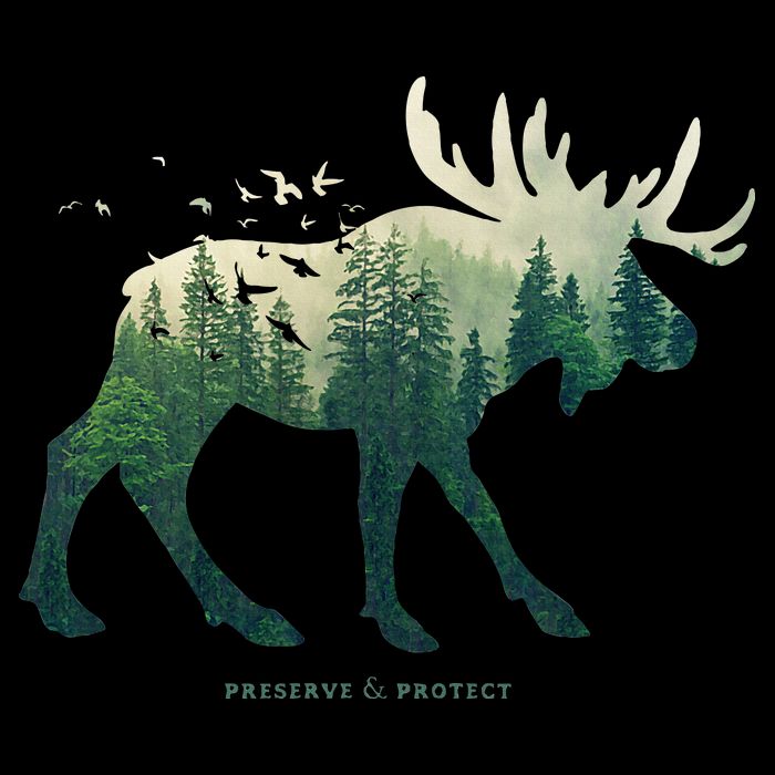 Preserve & Protect Vintage National Park Moose Backpack