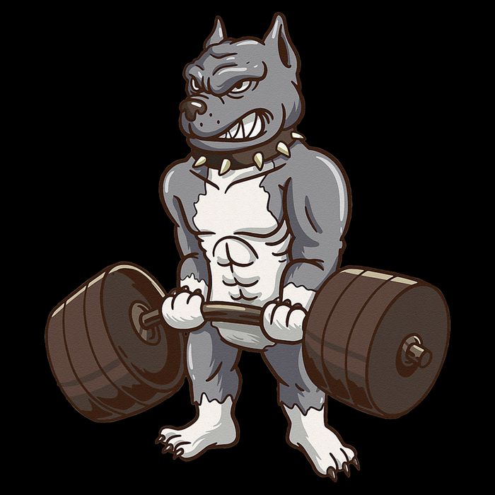 Pitbull Powerlifting Weight Lifting Dog Lovers Gift Premium T-Shirt