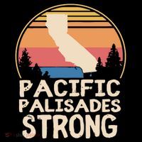 Pacific Palisades Wildfire Survivor California Strong Tank Top