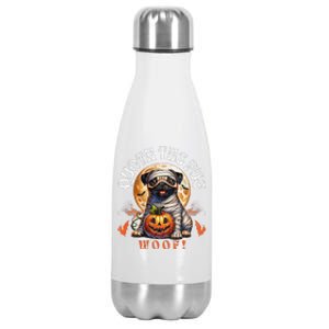 Poets Quoth The Pug Woof Halloween Dog Lovers Stainless Steel Insulated Water Bottle