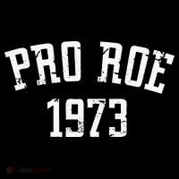 Pro Roe 1973 Distressed Kids T-Shirt