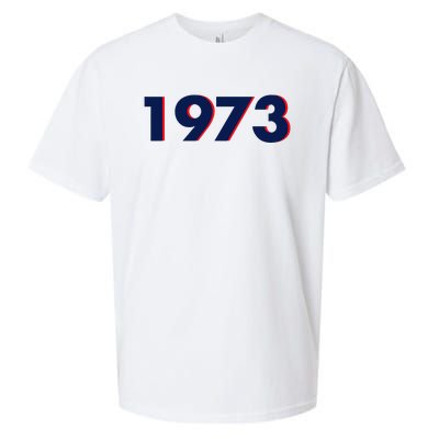 Pro Roe 1973 Sueded Cloud Jersey T-Shirt