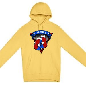 Puerto Rican Arecibo Puerto Rico Boxing Gloves Premium Pullover Hoodie