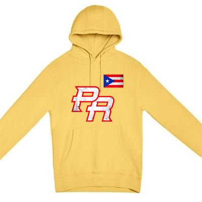 Puerto Rican Baseball Player Puerto Rico Flag Baseball Fans Premium Pullover Hoodie