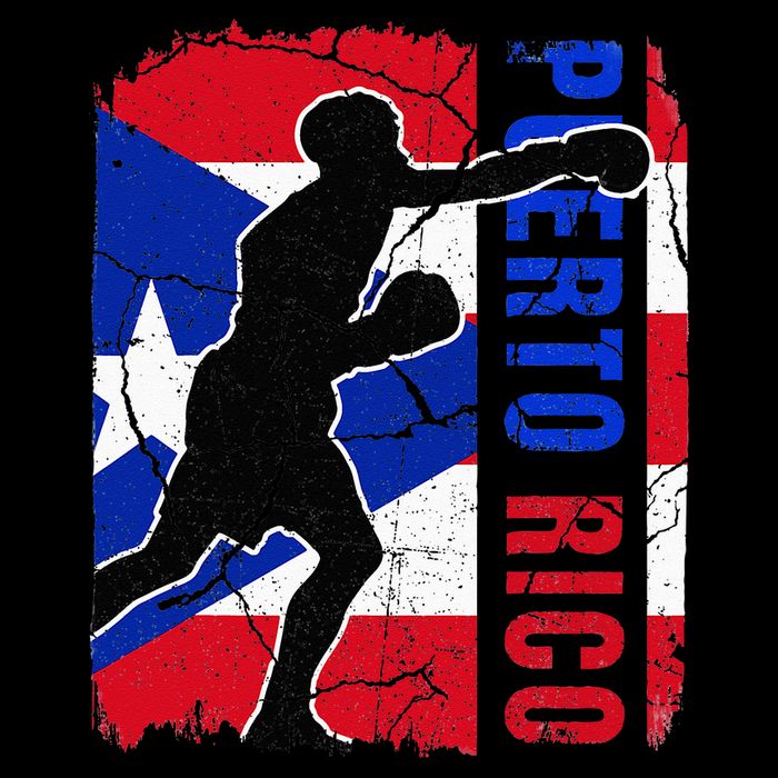Puerto Rican Boxing Team Puerto Rico Flag Boxing Gloves Impact Tech Backpack