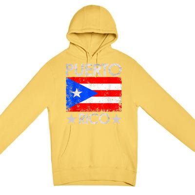 Puerto Rican Baseball Player Puerto Rico Flag Baseball Premium Pullover Hoodie