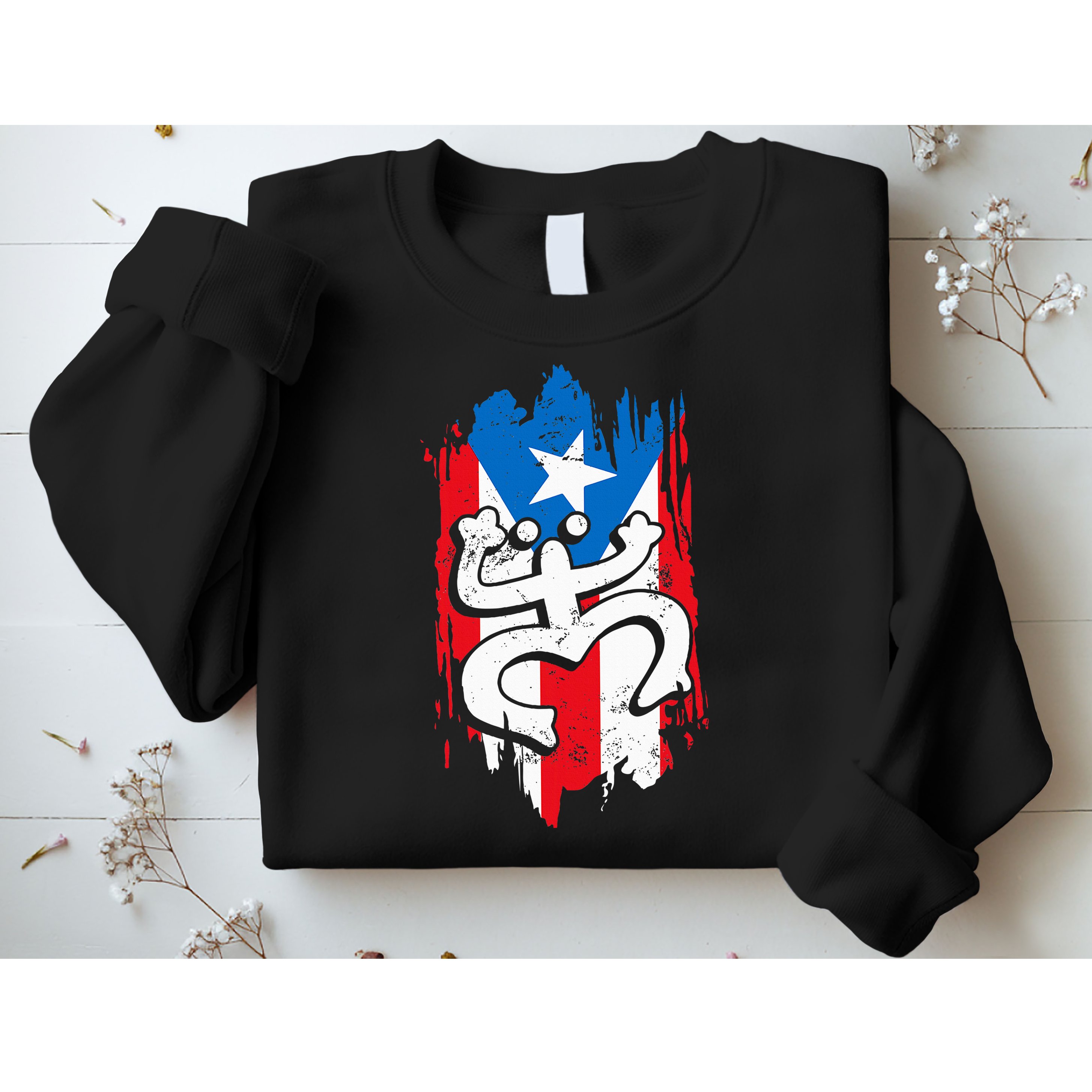 Puerto Rico Coqui Taino Symbol Puerto Rican Flag Frog Retro Sweatshirt