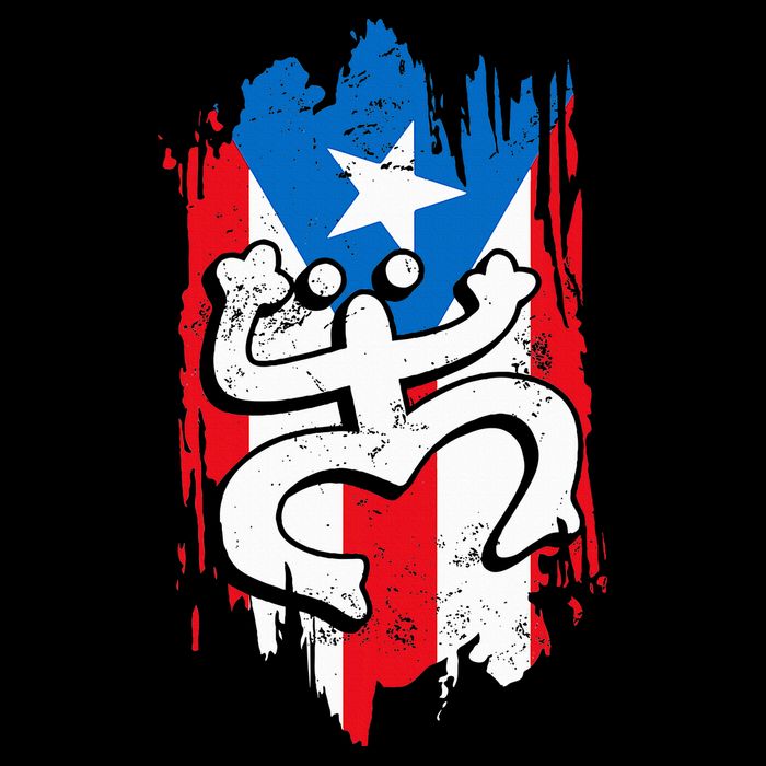 Puerto Rico Coqui Taino Symbol Puerto Rican Flag Frog Retro Sweatshirt