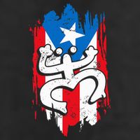 Puerto Rico Coqui Taino Symbol Puerto Rican Flag Frog Retro Beanie